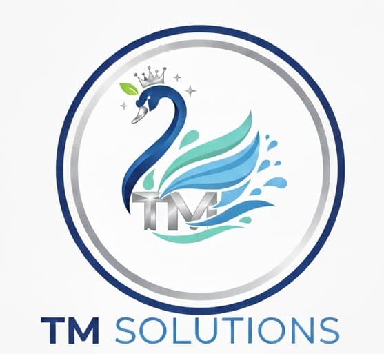 TM Solutions Brand Identity